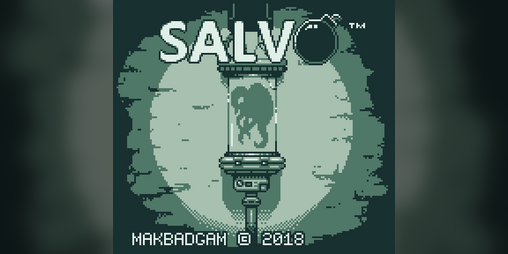 Cover image for Salvo