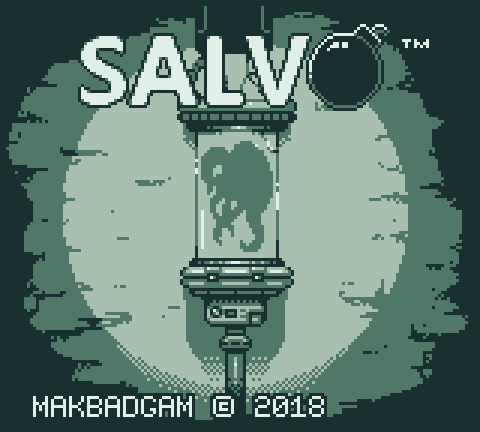 Cover image for Salvo