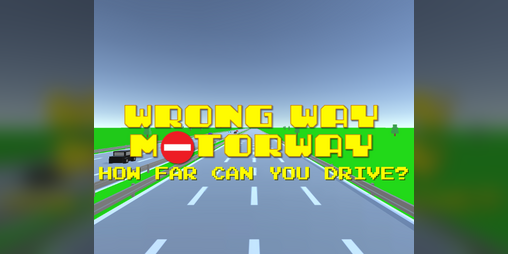 Cover image for Wrong Way Motorway