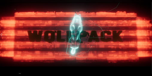 Cover image for Wolfpack (Concept)
