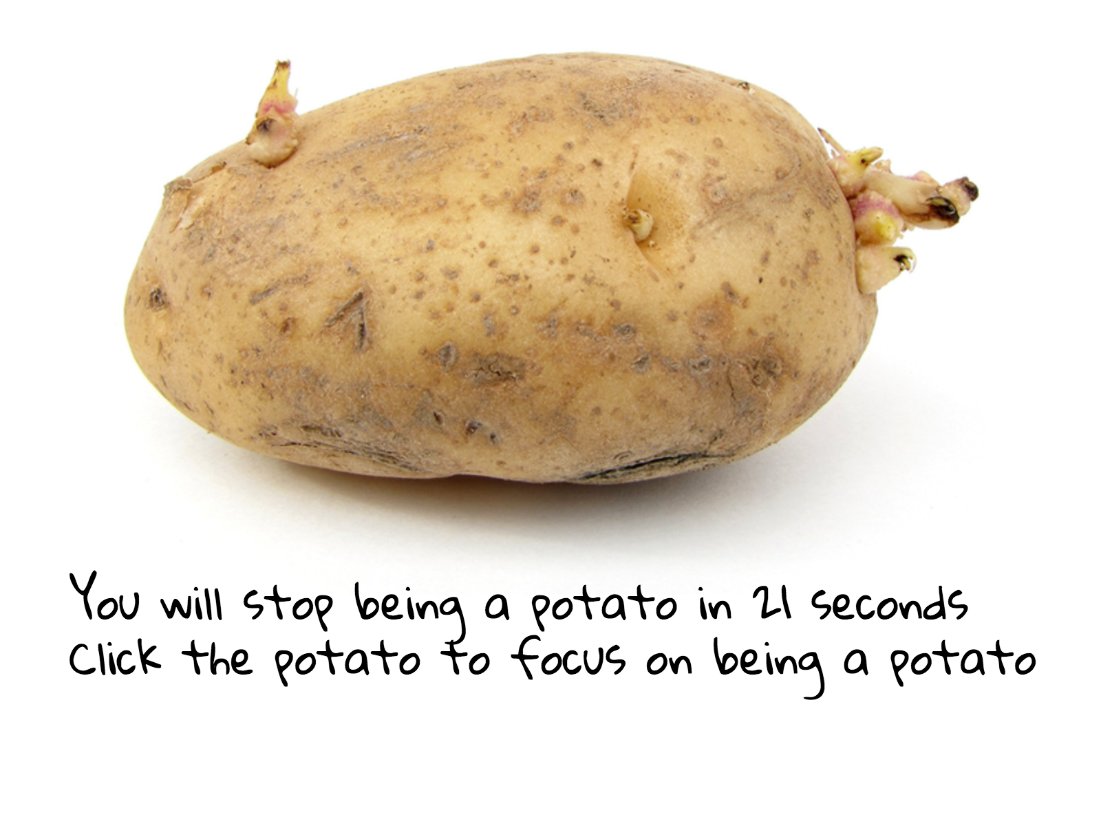 Potato Simulator 2014 Remix