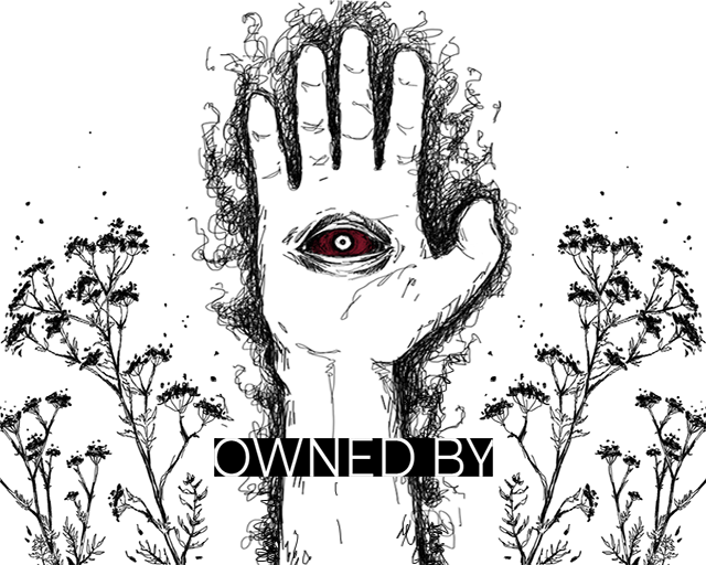 Cover image for Owned By