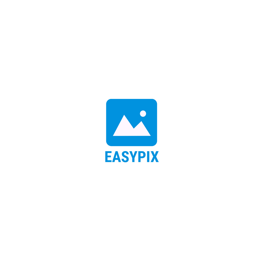 Cover image for Easypix