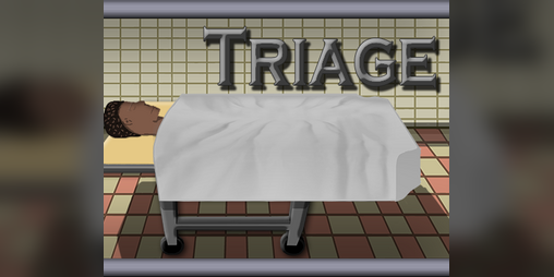 Cover image for Triage