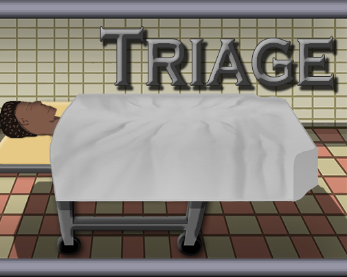 Cover image for Triage