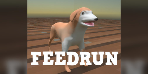 Cover image for Feedrun
