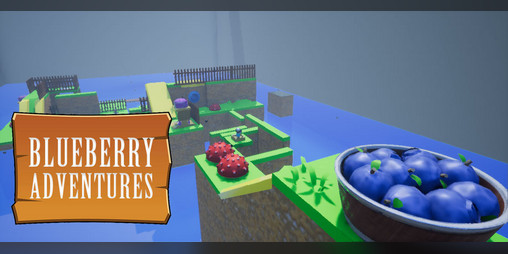 Cover image for Blueberry Adventures!