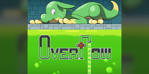 Cover image for Overflow