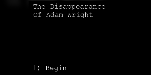 Cover image for The Disappearance of Adam Wright