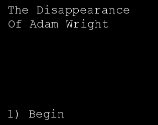 Cover image for The Disappearance of Adam Wright