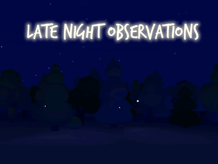 Cover image for late night observations