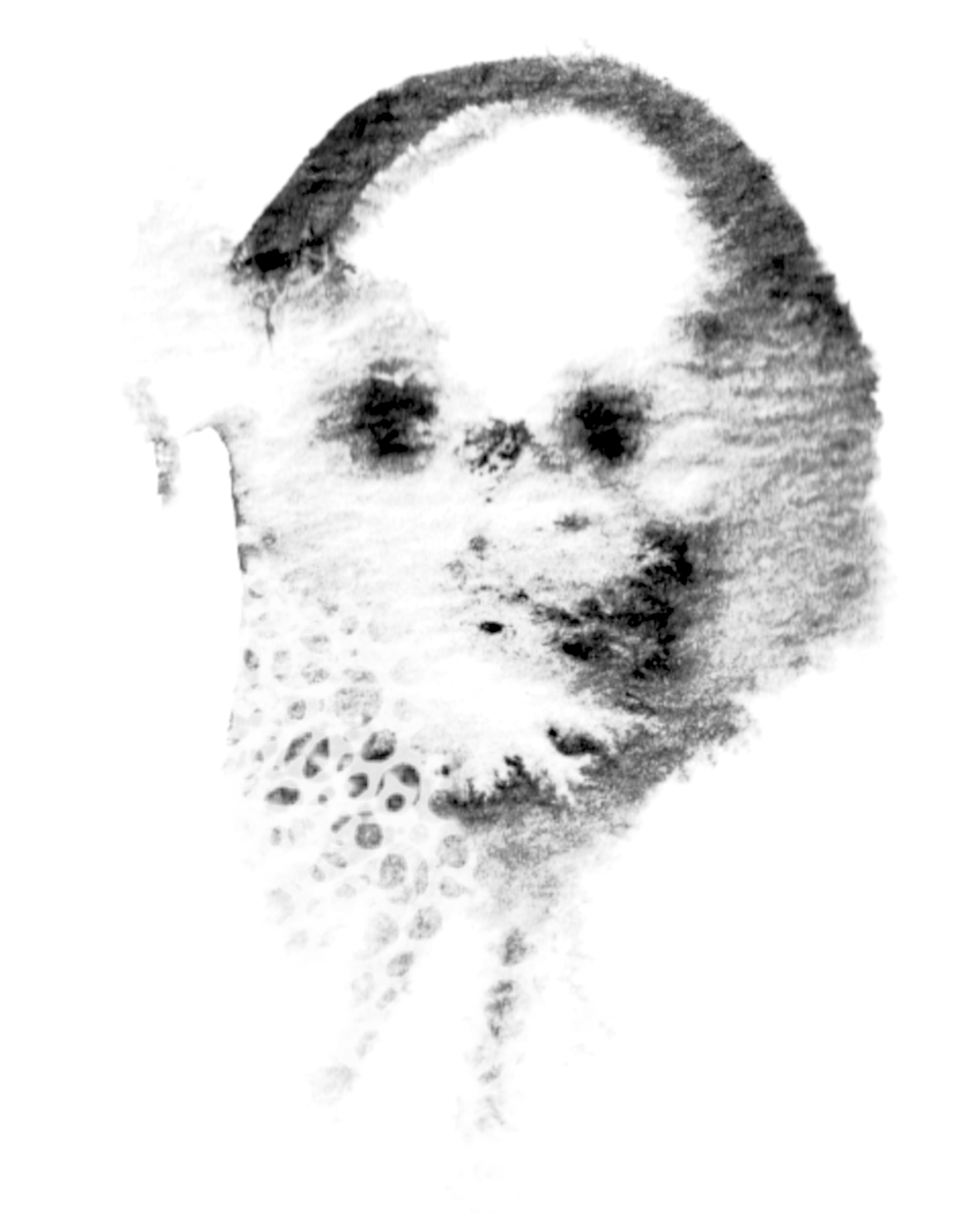 The Werewolfs Daughter By 10eyedoracle