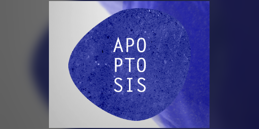 Cover image for Apoptosis