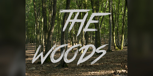 Cover image for THE WOODS v0.03 FINISHED!!!