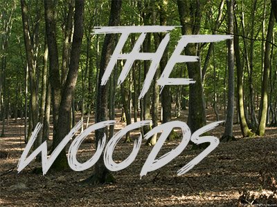 Cover image for THE WOODS v0.03 FINISHED!!!