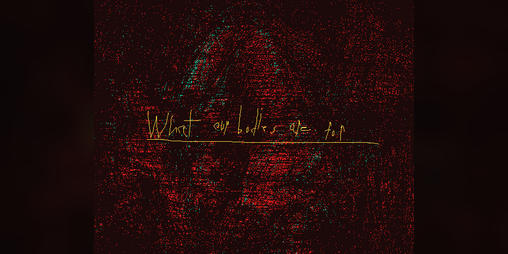 Cover image for what our bodies are for