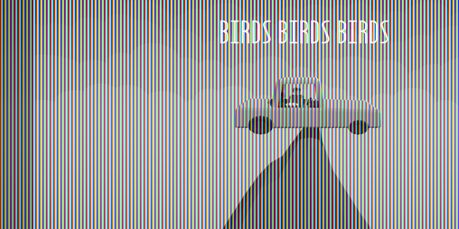 Cover image for Birds Birds Birds