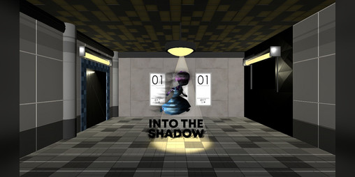 Cover image for Into The Shadow