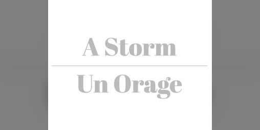 Cover image for A Storm / Un Orage