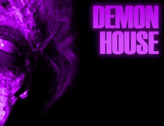 Cover image for Demon House