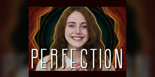 Cover image for Perfection