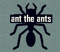 Cover image for ant the ants