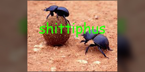 Cover image for The Wonderful World of Shittiphus