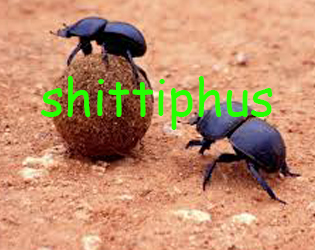 Cover image for The Wonderful World of Shittiphus