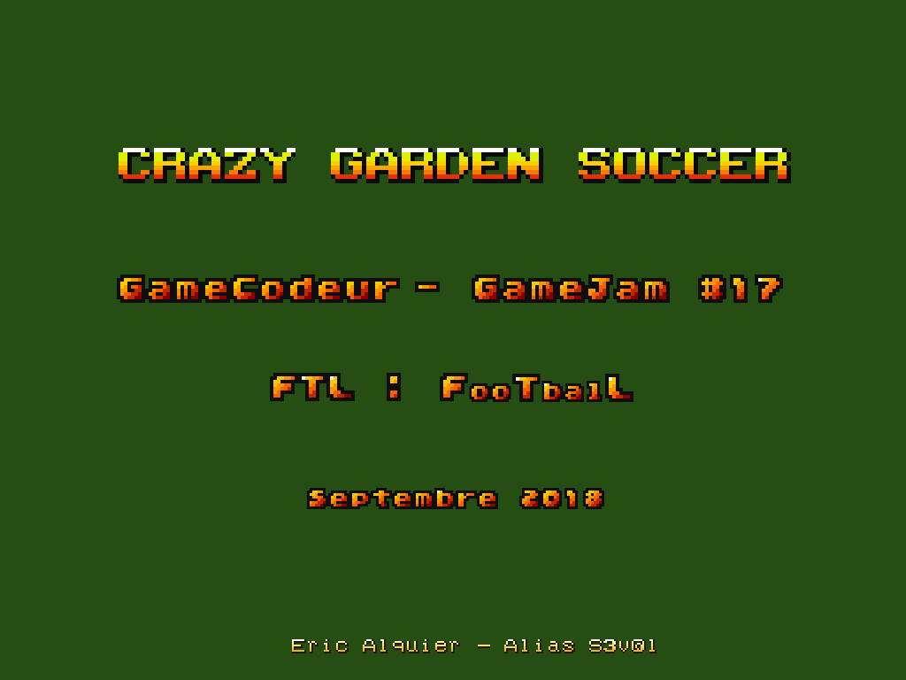 Crazy Garden Soccer : FooTbalL