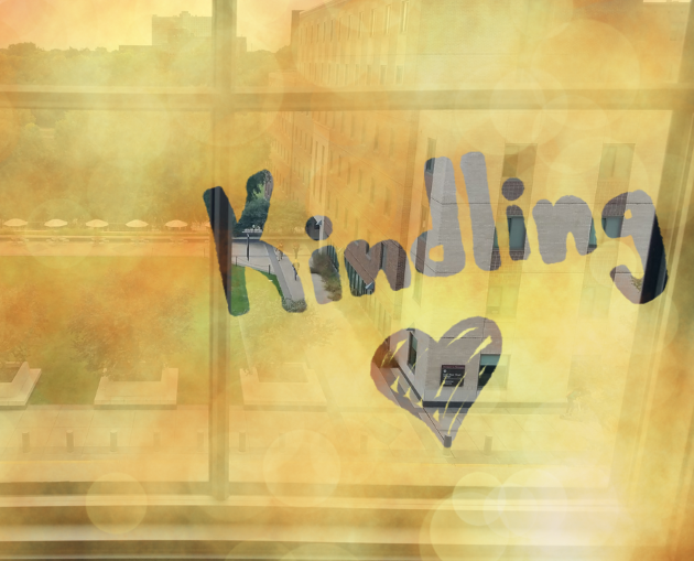 Cover image for Kindling