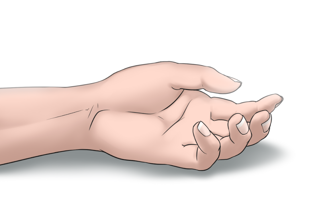 Cover image for Surkea