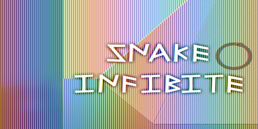 Cover image for Snake Infibite