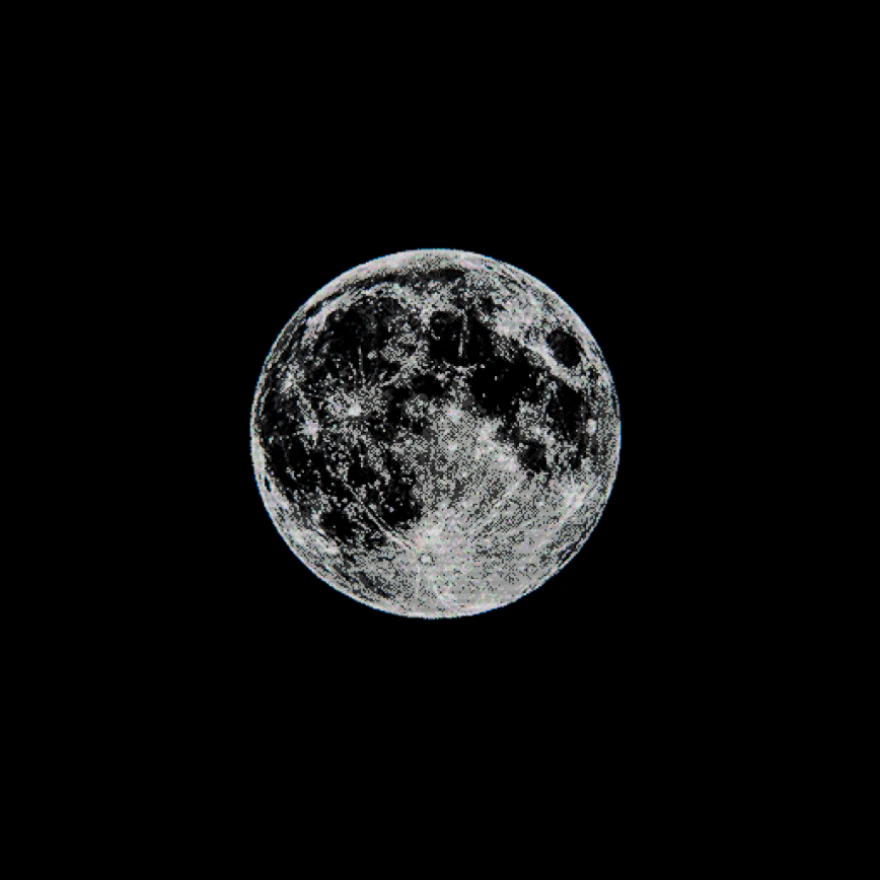 Screenshot 4 for Moon-Oriented Autonomous Biological Model [DEMO]