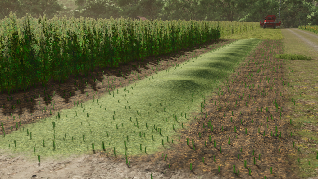 Screenshot 10 for FS25 - Riverbend Springs - Squigglze Edition