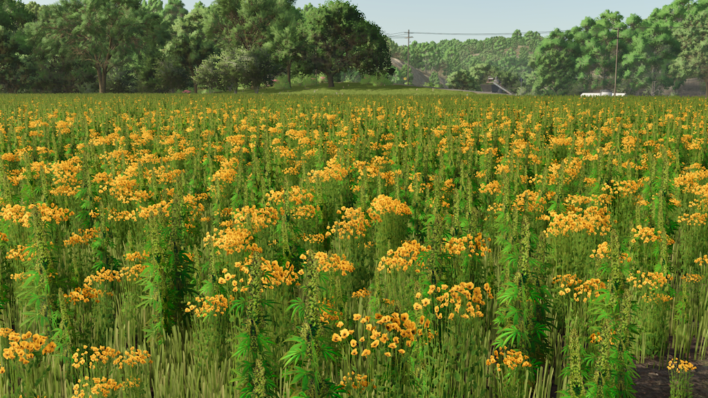 Screenshot 9 for FS25 - Riverbend Springs - Squigglze Edition