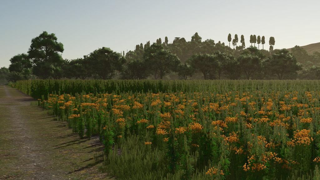 Screenshot 6 for FS25 - Riverbend Springs - Squigglze Edition
