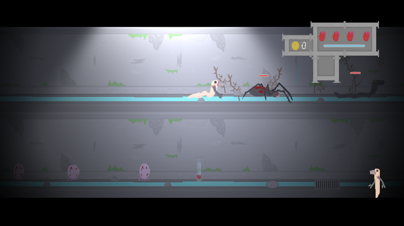 worms 2d info porject x worms 2d info porject x
