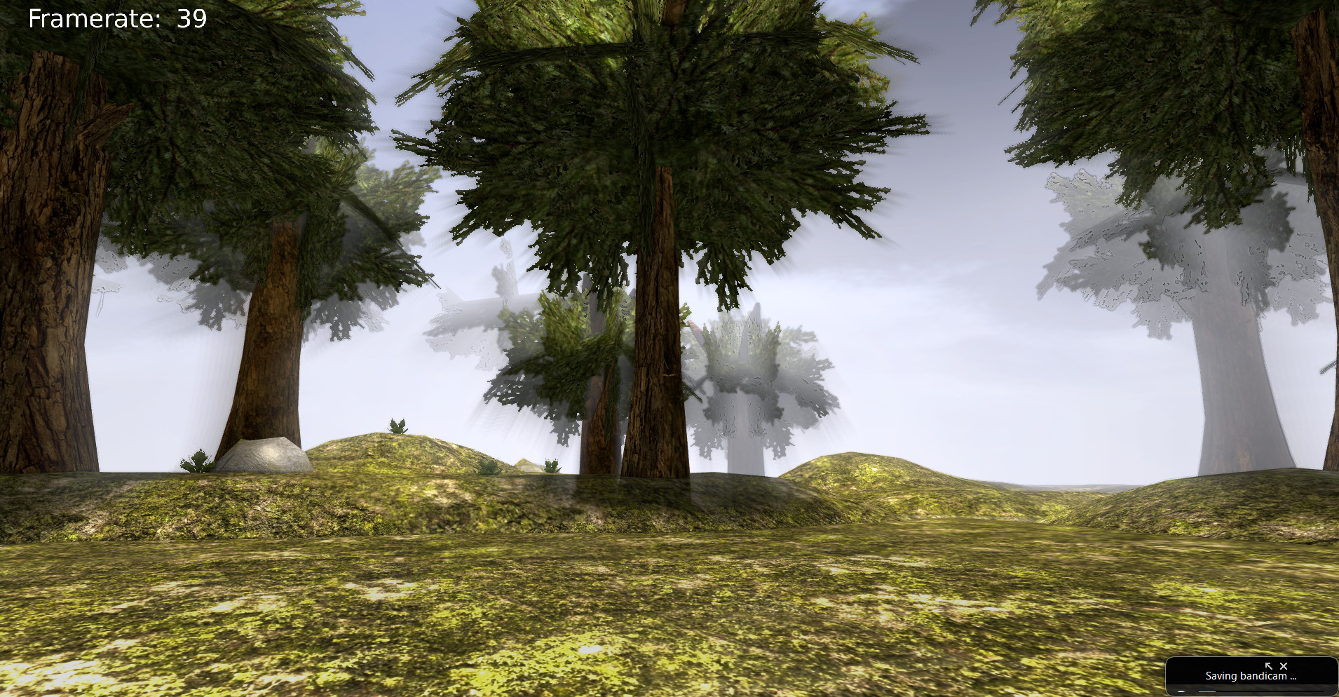 Cover image for The Forest