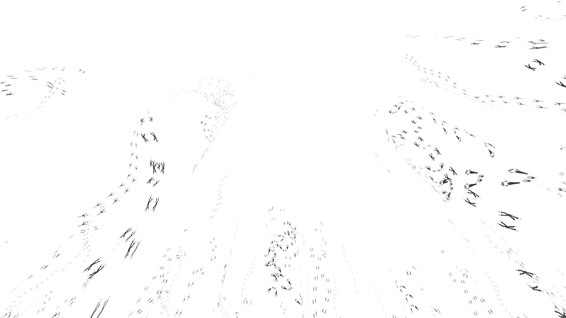 Screenshot 2 for Step Into This Quiet Forest [Demo Playable In-Browser]
