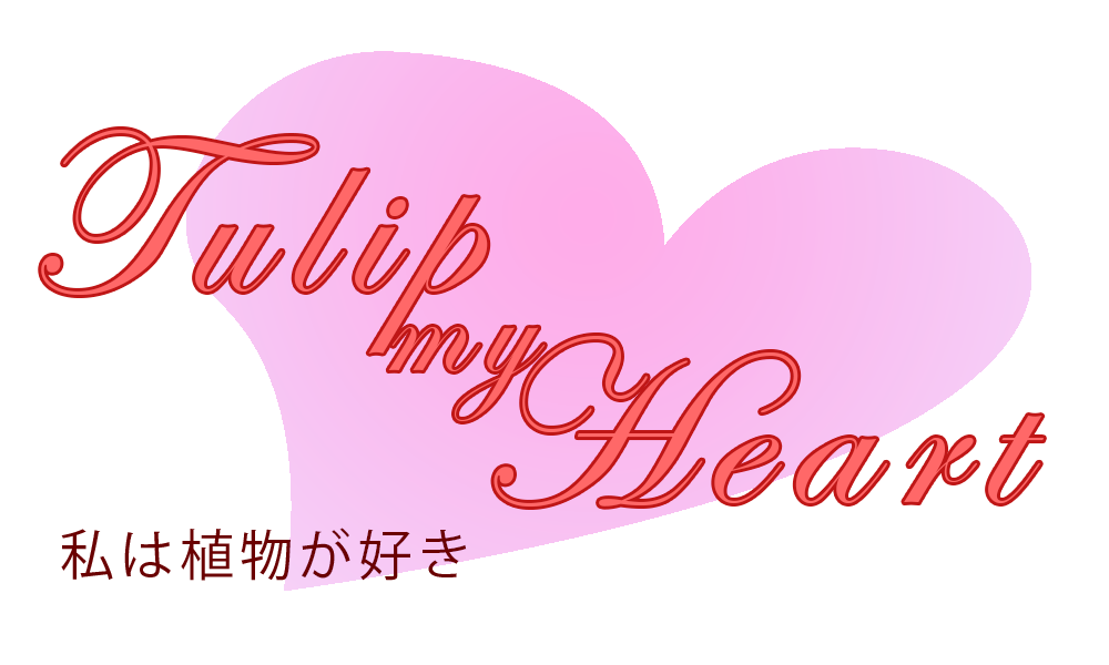 Tulip My Heart Demo