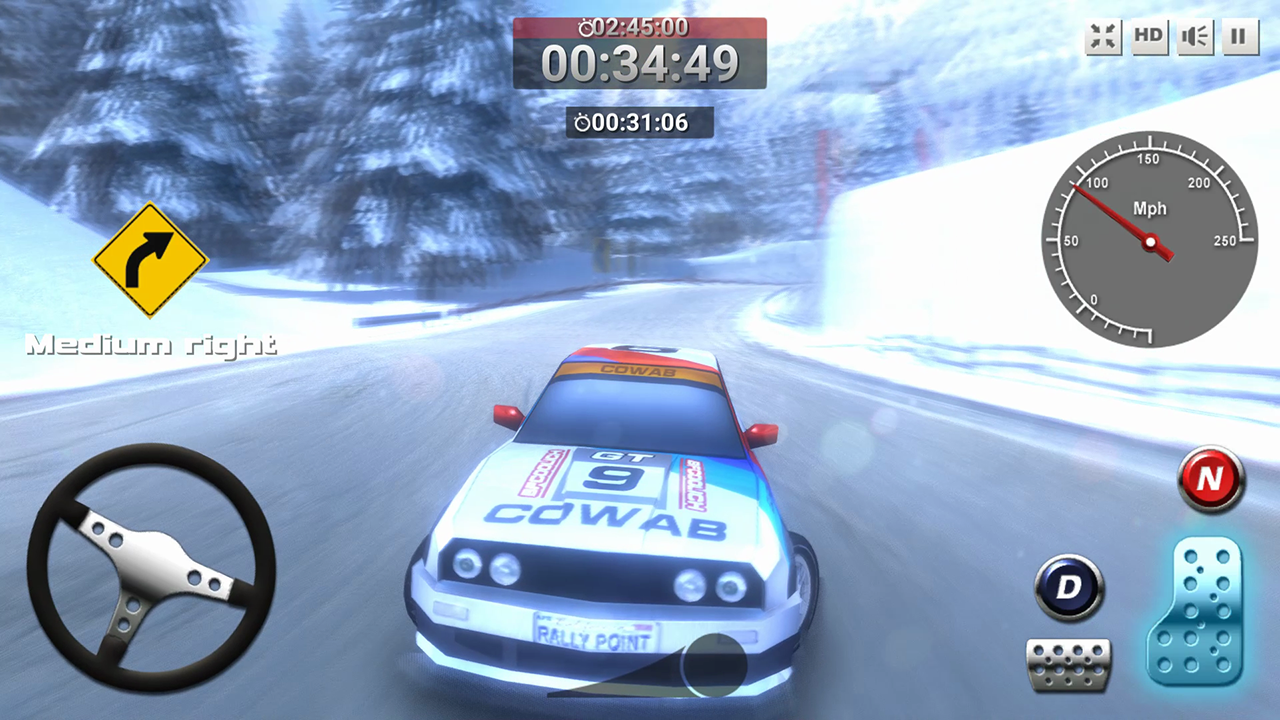 Rally Point 4 - Jogo para Mac, Windows (PC), Linux - WebCatalog