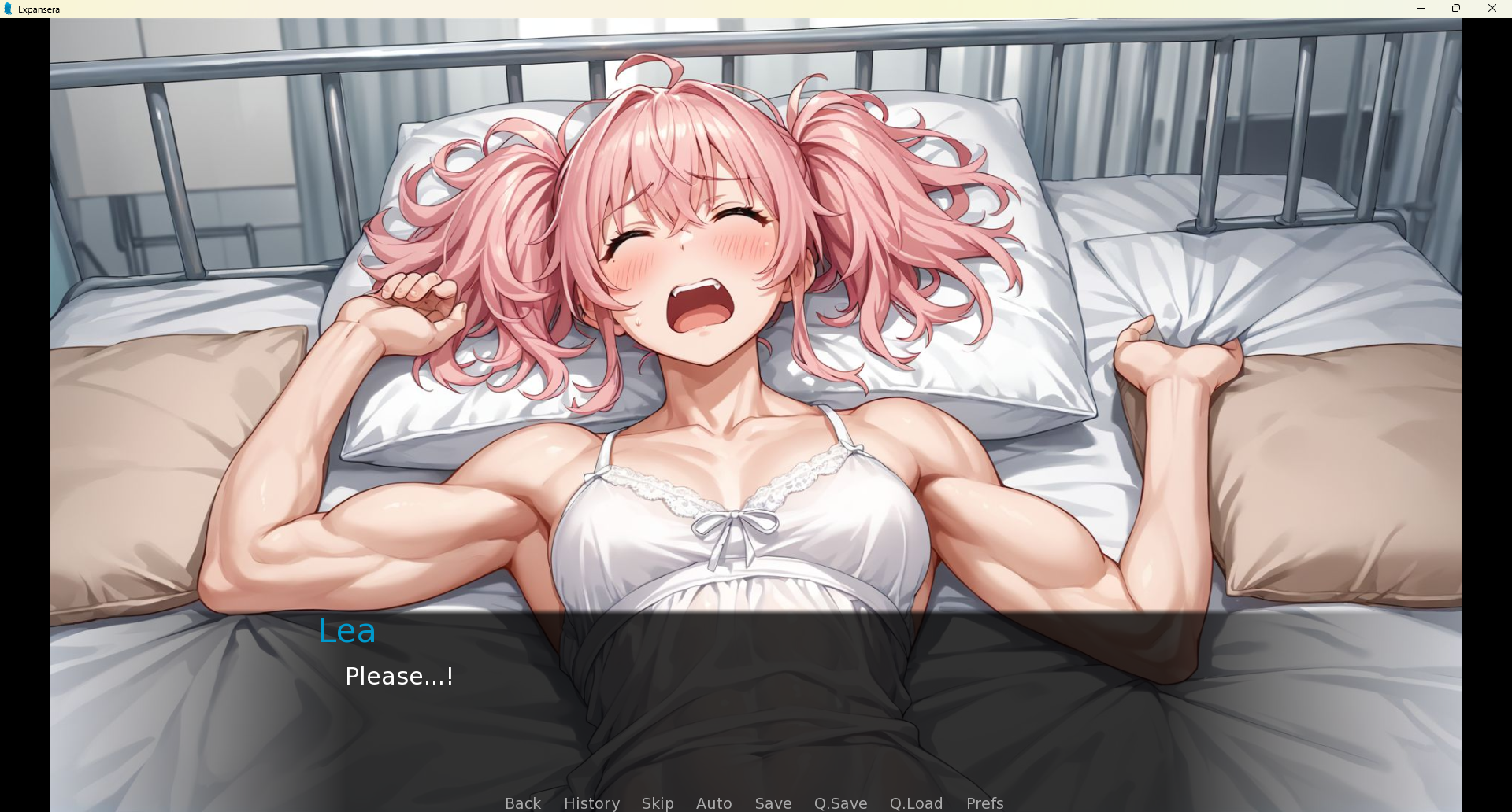 Expansera screenshot 2