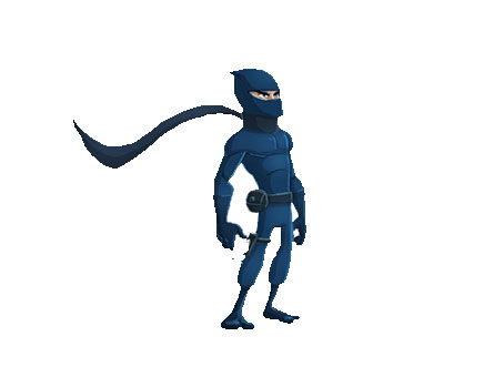 ninja splash