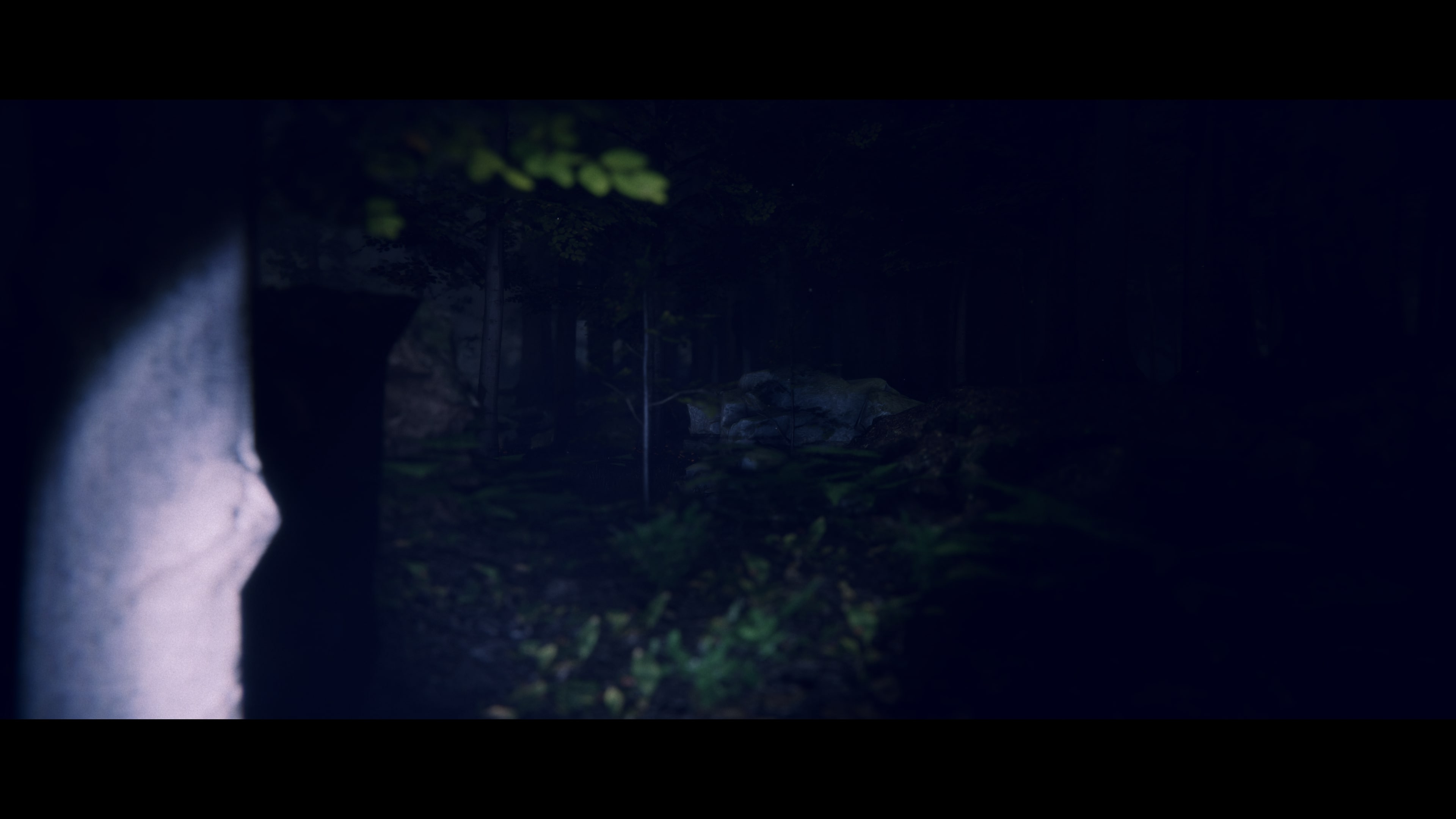 Screenshot 6 for Project Songbird Teaser: Faceless