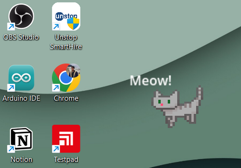 Desktop Cat by Rohit