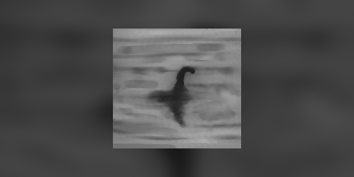 Cover image for Don't get caught in focus
