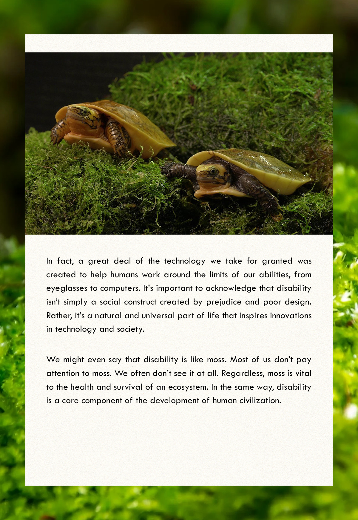 Screenshot 4 for In Praise of Moss
