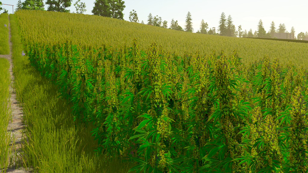 Screenshot 51 for FS25 - Lucid Valley - V 2.1