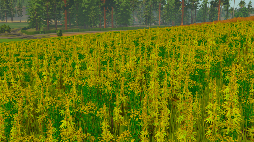 Screenshot 52 for FS25 - Lucid Valley - V 2.1