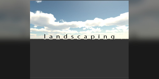 Cover image for ____l_a_n_d_s_c_a_p_i_n_g____